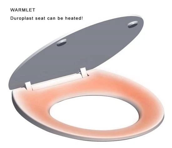 heated toilet seat