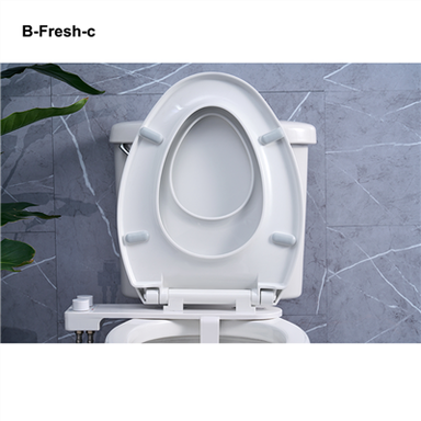 Najboljši bide za WC školjko iz enega kosa