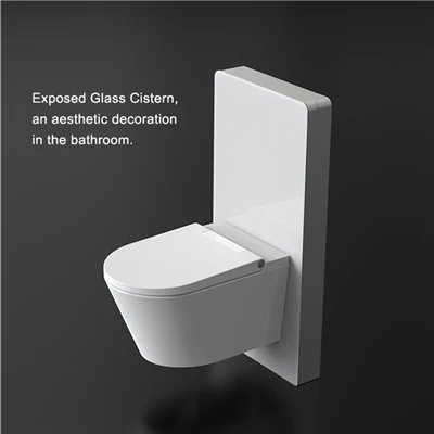 WC pnevmatski splakovalnik